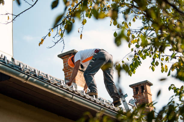 Best Local Roofing Companies  in Rossville, KS
