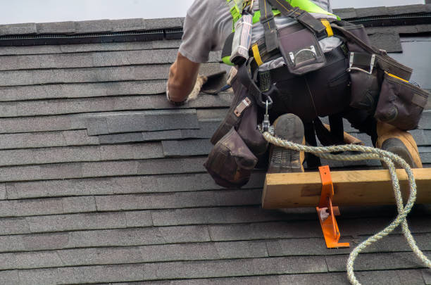 Best Roof Maintenance Services  in Rossville, KS